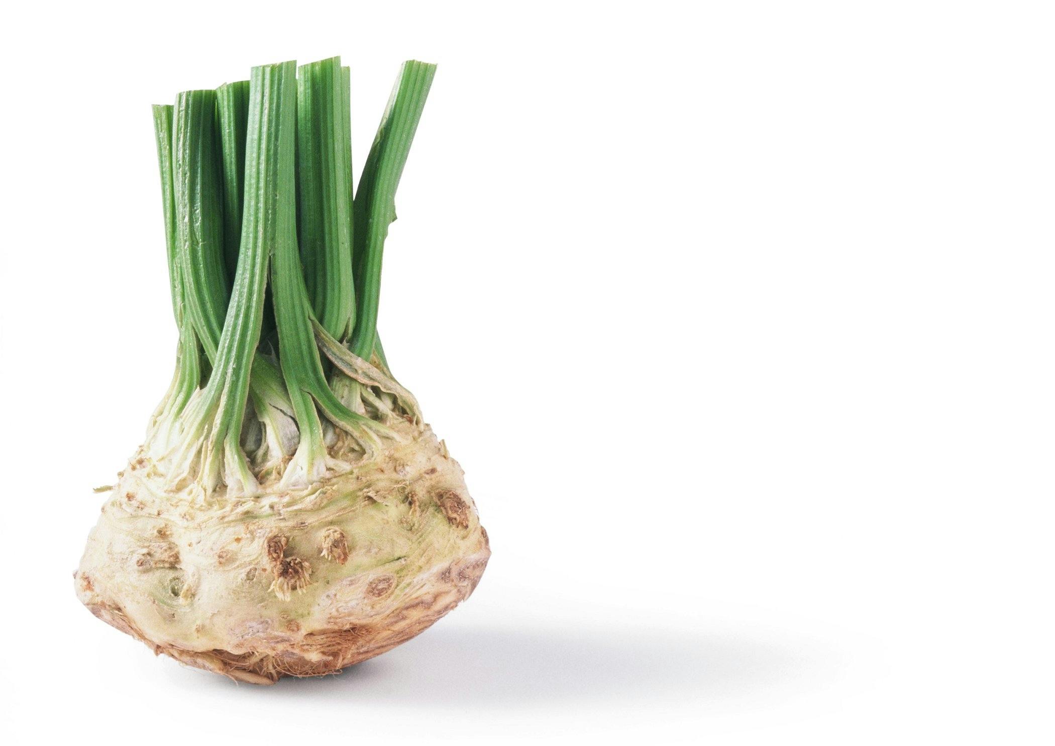 Knollselleri - gir deg K-vitamin Knollselleri - gir deg K-vitamin